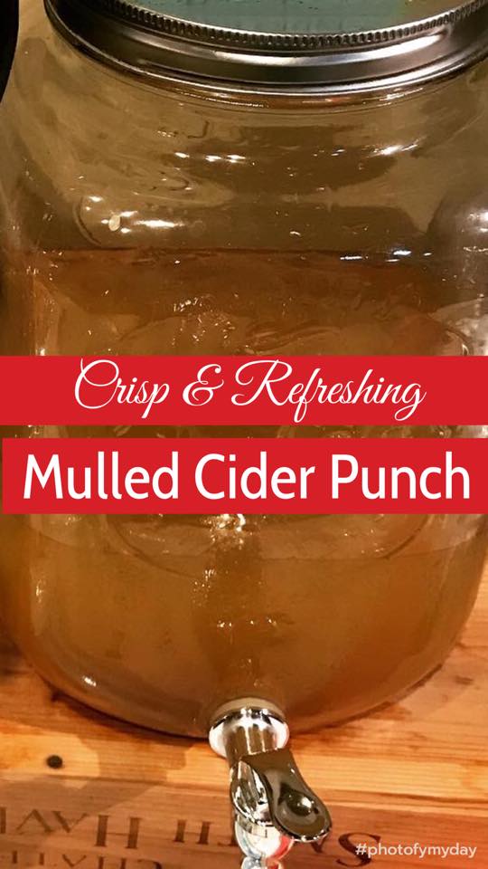 Mulled Cider Punch